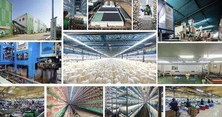 昆山張浦鎮(zhèn)食用菌出口北美市場