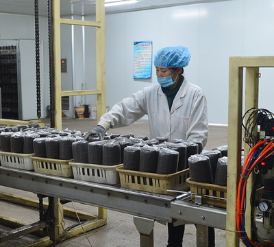 滴道區(qū)沅予菌包廠:為實(shí)現(xiàn)年產(chǎn)700萬袋菌包開足馬力