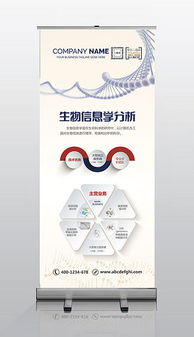 psd醫(yī)學(xué)易拉寶 psd格式醫(yī)學(xué)易拉寶素材圖片 psd醫(yī)學(xué)易拉寶設(shè)計(jì)模板 