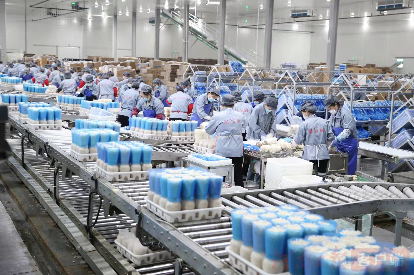 駐馬店:農業加工&ldquo;高精尖&rdquo;挑起發展&ldquo;金扁擔&rdquo;