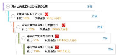 海南金光化工科技咨詢(xún)服務(wù)公司 信息技術(shù)咨詢(xún)服務(wù)的專(zhuān)業(yè)賦能者