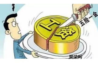 湛江社保代理服務(wù)全解析 專業(yè)機(jī)構(gòu)助您便捷繳納